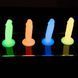 Набор фаллоимитаторов ADDICTION Silly Willy Glow in the Dark, 4 цвета, 12 шт, светятся в темноте SX0540 фото 2