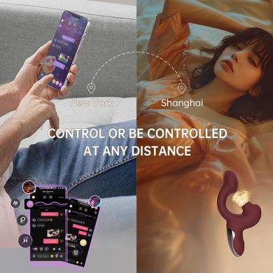 Смарт-вібратор Magic Motion Ponder Purple, подвійна стимуляція, віброяйце+язичок для клітора SX3228 фото