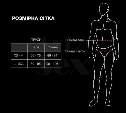 Мужские трусики из сетки Art of Sex - Demir, цвет черный, размер L-2XL SX3877 фото