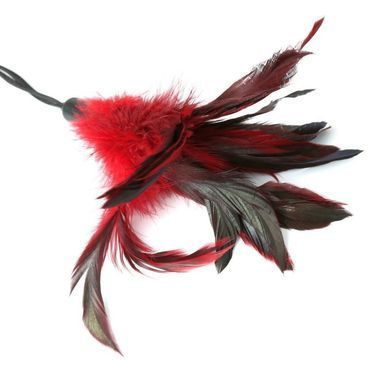Метелочка-щекоталка Sportsheets - PLEASURE FEATHER RED на веревочной петле SO2190 фото