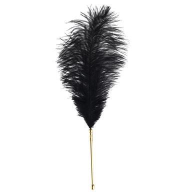 Щекоталка LOCKINK SEVANDA Natural Peacock Flirting Feather Tickler, перья павлина и страуса SX0895 фото
