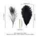 Щекоталка LOCKINK SEVANDA Natural Peacock Flirting Feather Tickler, перья павлина и страуса SX0895 фото 5
